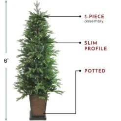 Northlight 6ft. Pre-Lit Oregon Noble Fir Slim Artificial Christmas Tree In Decorative Planter, Warm White LED Lights -Michaels Shop D489958S 5