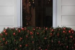 Northlight 4ft. X 6ft. LED Wide Angle Net Style Christmas Lights Red -Michaels Shop D491463S 12
