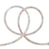 Northlight 18ft. Multi-Colored Outdoor Christmas Rope Lights -Michaels Shop D491493S 1