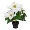Northlight 14.5" Potted White Artificial Christmas Poinsettia Flower Plant