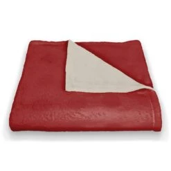 This House Believes 50x60 Coral Fleece Blanket -Michaels Shop D518276S 2
