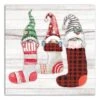Gnome Stockings 20x20 Canvas Wall Art -Michaels Shop D518313S 1