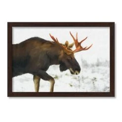 Moose In The Snow Black Framed Print Under Plexiglass -Michaels Shop D518338S 1 1
