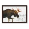 Moose In The Snow Black Framed Print Under Plexiglass 1 Moose In The Snow Black Framed Print Under Plexiglass -Michaels Shop D518338S 1