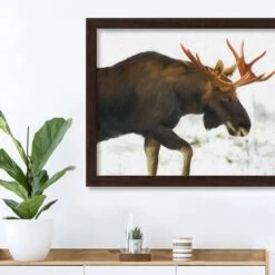 Moose In The Snow Black Framed Print Under Plexiglass -Michaels Shop D518338S 3