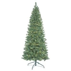 6.5ft. Pre-Lit Oregon Fir Artificial Christmas Tree, Warm White LED Lights