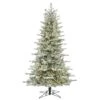 7.5ft. Pre-Lit Frosted Eastern Fraser Fir Artificial Christmas Tree, Warm White LED Lights -Michaels Shop D522543S 1