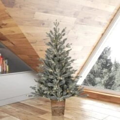 4ft. Pre-Lit Gooding Potted Pine Artificial Tree, Warm White LED Mini Lights -Michaels Shop D522616S 2