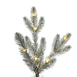 4ft. Pre-Lit Gooding Potted Pine Artificial Tree, Warm White LED Mini Lights -Michaels Shop D522616S 3
