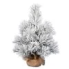 24" Unlit Frosted Beckett Pine Artificial Christmas Tree 2 24" Unlit Frosted Beckett Pine Artificial Christmas Tree -Michaels Shop D522656S 1