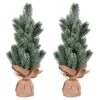 15" Unlit Frosted Spruce Sapling Artificial Christmas Tree Set -Michaels Shop D522725S 2