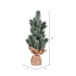 15" Unlit Frosted Spruce Sapling Artificial Christmas Tree Set -Michaels Shop D522725S 3