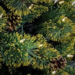 7ft. Pre-Lit Maine Pine Artificial Christmas Tree, Warm White LED Lights -Michaels Shop D531405S 3