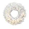24" Warm White LED Crystal White Spruce Wreath -Michaels Shop D575266S 1