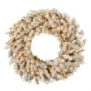 24" Warm White Dura-Lit® LED Frosted Gold Wreath -Michaels Shop D575281S 1