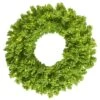 30" Pre-Lit Flocked Lime Fir Artificial Christmas Wreath, Lime Dura-Lit LED Lights -Michaels Shop D575334S 1