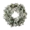 24" Pre-Lit Flocked Kiana Artificial Christmas Wreath, Warm White Dura-Lit® LED Mini Lights -Michaels Shop D575349S 1