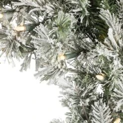 24" Pre-Lit Flocked Kiana Artificial Christmas Wreath, Warm White Dura-Lit® LED Mini Lights -Michaels Shop D575349S 2