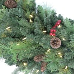 60'' Pre-Lit Rocky Mountain Spruce Christmas Wreath -Michaels Shop D659683S 2