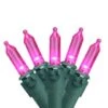 Northlight 50ct. LED Mini Christmas String Lights With Green Wire Pink