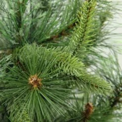 Northlight 3ft. Unlit Full Ashcroft Cashmere Pine Artificial Christmas Tree -Michaels Shop D676683S 12