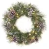 24'' LED Whitter Pine Wreath -Michaels Shop D677537S 1